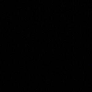 Meet your Posher, Kendall